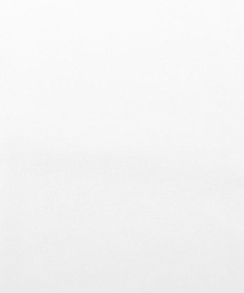 MONKEY TIME（モンキータイム）の「＜monkey time＞ CTN MILANO RIB TEE/ニットTシャツ（Tシャツ/カットソー・メンズ・ケリー/ブラック/ホワイト・X-LARGE/LARGE/SMALL/MEDIUM）」の12枚目の写真