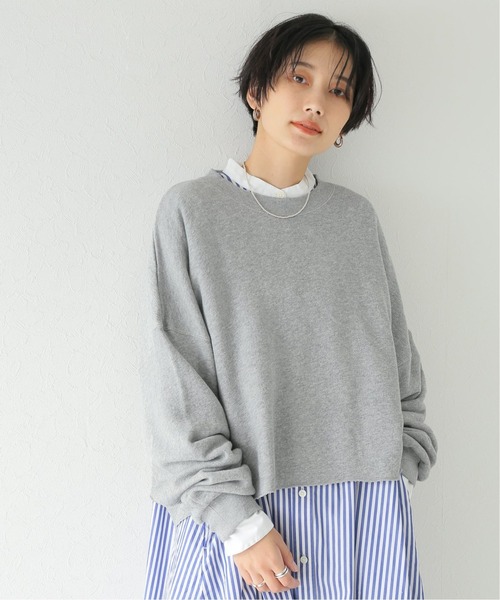 JOURNAL STANDARD relume(ジャーナルスタンダード レリューム)の「ツリアミフウショートスウェット(スウェット・レディース・レッド/ベージュ/グレー/グリーン・FREE)」の2枚目の写真