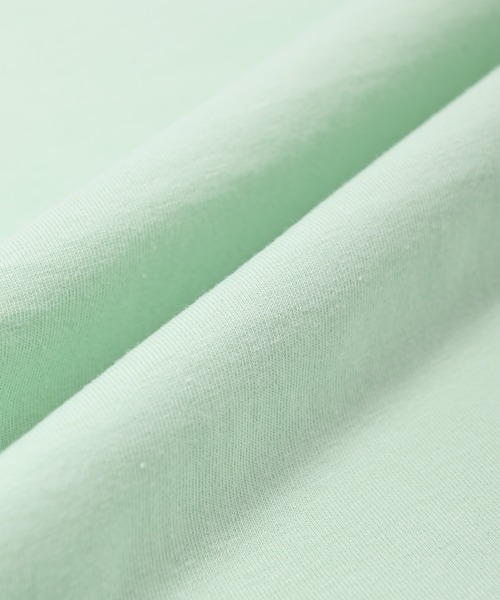 Carhartt WIP（カーハートダブリューアイピー）の「Carhartt WIP カーハート ワークインプログレス スクリプト 半袖Tシャツ（Tシャツ/カットソー・メンズ・ベージュ/ミント/ホワイト/ブラック・M/L/XL）」の14枚目の写真