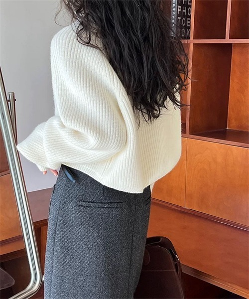 Dream garden（ドリームガーデン）の「ハーフジップニット（ニット/セーター・レディース・ダークブラウン/ブラック/レッド/オフホワイト/グレー/ライトイエロー/ピンク/カーキ・FREE）」の16枚目の写真