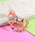 styiroiX^Cj́u[jR[u[`iu[`/RT[WjvbR[sN