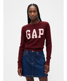 GAP(Mbv)GAPS C^[VZ[^[(jbg/Z[^[)