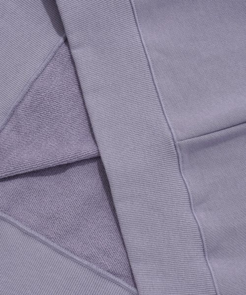 COVERNAT(カバーナット)の「Cロゴハーフジップスウェットラベンダー(スウェット・レディース・その他・LARGE/SMALL)」の7枚目の写真