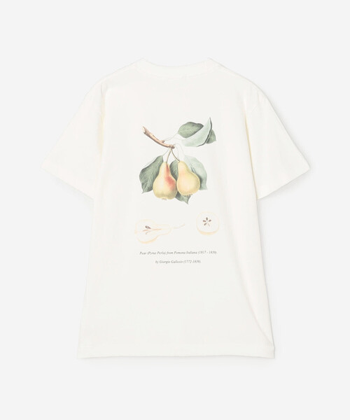 Bshop(ビショップ)の「History of Art | プリントTシャツ PEAR WOMEN(Tシャツ/カットソー・レディース・ホワイト系その他・S)」の3枚目の写真
