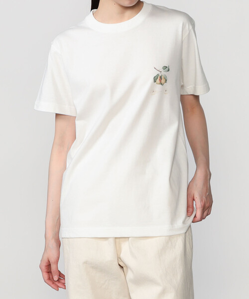 Bshop(ビショップ)の「History of Art | プリントTシャツ PEAR WOMEN(Tシャツ/カットソー・レディース・ホワイト系その他・S)」の10枚目の写真