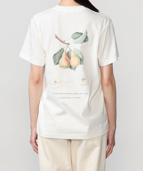 Bshop(ビショップ)の「History of Art | プリントTシャツ PEAR WOMEN(Tシャツ/カットソー・レディース・ホワイト系その他・S)」の1枚目の写真