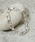 And AiAhG[j́uAnd A AhG[ / Link chain bracelet AYL`F[uXbg I[o Vo[925iuXbgjvbVo[