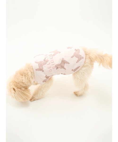 gelato pique（ジェラートピケ）の「【CAT&DOG】【販路限定商品