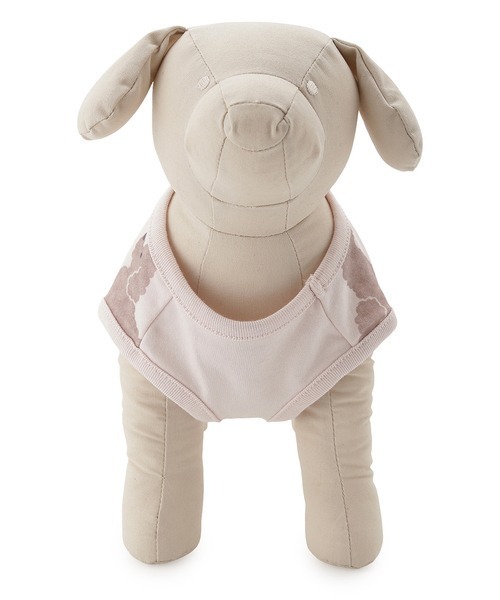 gelato pique 新作トイプードルセットアップ ジェラートピケ/トイプードル セットアップ ブルー gelato pique