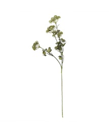 a.depeche(�A�f�y�V��)�́ya.depeche/�A�f�y�V���z�A�[�e�B�t�B�V�����t�����[ / ����  colorer ���E�M���\�E(09-01-GR)(�t�����[�x�[�X)
