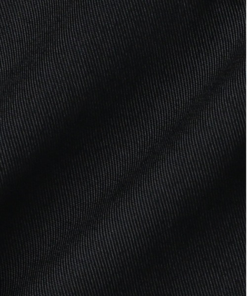 Right-on（ライトオン）の「【店頭で人気】【Dickies】ＴＣ・デニムショーツ（その他パンツ・メンズ・ブラック/ダークグレー/ブラック系その他/ダークインディゴブルー・S/M/L/XL）」の19枚目の写真