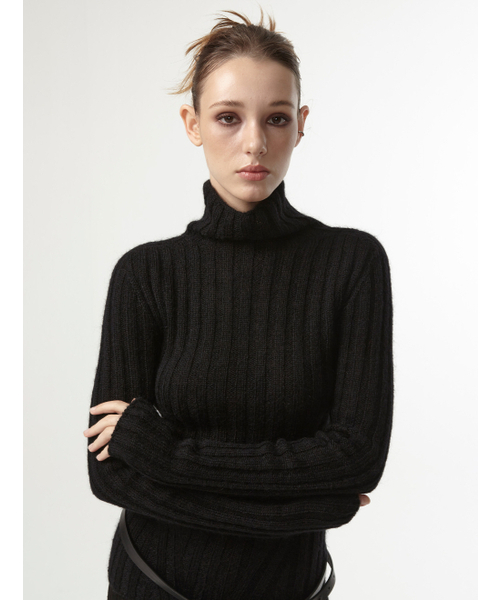 EAN JO(イアンジョー)の「WHOLEGARMENT TURTLE NECK RIBBED KNIT (BLACK)(ニット/セーター・レディース・ブラック・MEDIUM/SMALL)」の1枚目の写真