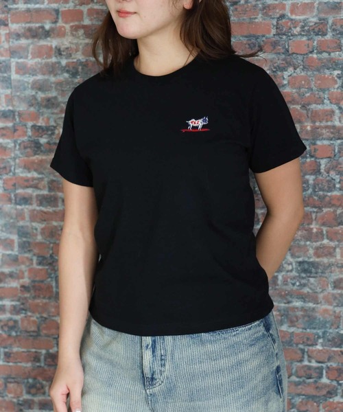 The Endless Summer(エンドレスサマー)の「ORGANIC COTTON FIT T-SHIRT(Tシャツ/カットソー・レディース・ブラック/ホワイト/ベージュ/ネイビー・FREE)」の2枚目の写真