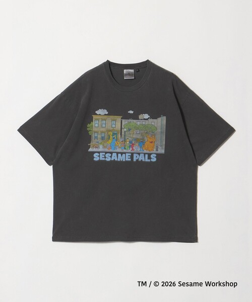 green label relaxing(グリーンレーベルリラクシング)の「【別注】<URBAMENT>「セサミストリート」半袖 Tシャツ(Tシャツ/カットソー・メンズ・その他2/その他4/オフホワイト/ダークブラウン/ブラック/その他1/その他6/その他5/その他3・S/L/M)」の9枚目の写真