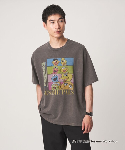 green label relaxing(グリーンレーベルリラクシング)の「【別注】<URBAMENT>「セサミストリート」半袖 Tシャツ(Tシャツ/カットソー・メンズ・その他2/その他4/オフホワイト/ダークブラウン/ブラック/その他1/その他6/その他5/その他3・S/L/M)」の15枚目の写真