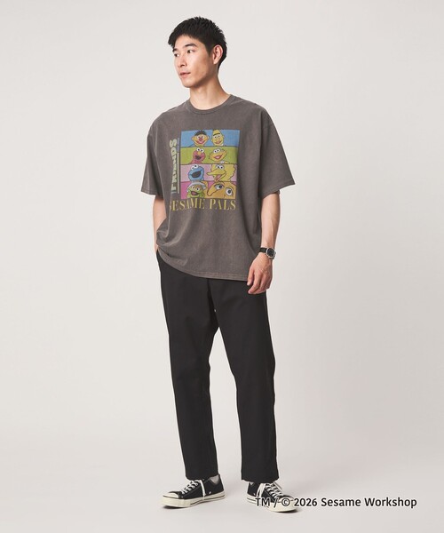 green label relaxing(グリーンレーベルリラクシング)の「【別注】<URBAMENT>「セサミストリート」半袖 Tシャツ(Tシャツ/カットソー・メンズ・その他2/その他4/オフホワイト/ダークブラウン/ブラック/その他1/その他6/その他5/その他3・S/L/M)」の16枚目の写真