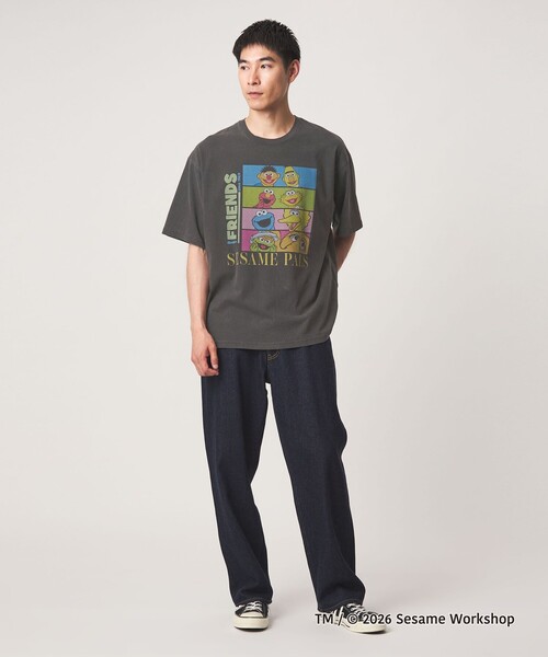 green label relaxing(グリーンレーベルリラクシング)の「【別注】<URBAMENT>「セサミストリート」半袖 Tシャツ(Tシャツ/カットソー・メンズ・その他2/その他4/オフホワイト/ダークブラウン/ブラック/その他1/その他6/その他5/その他3・S/L/M)」の18枚目の写真