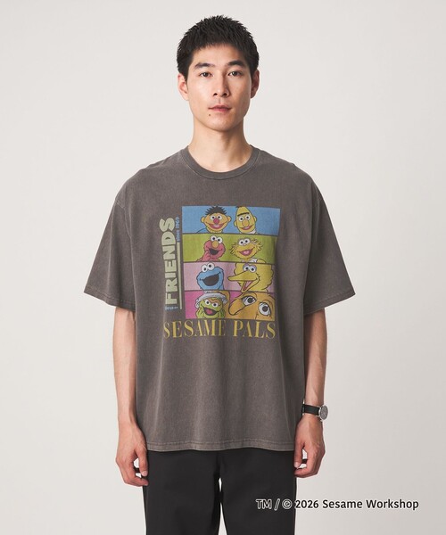 green label relaxing(グリーンレーベルリラクシング)の「【別注】<URBAMENT>「セサミストリート」半袖 Tシャツ(Tシャツ/カットソー・メンズ・その他2/その他4/オフホワイト/ダークブラウン/ブラック/その他1/その他6/その他5/その他3・S/L/M)」の22枚目の写真