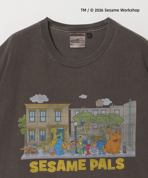 green label relaxing(グリーンレーベルリラクシング)の「【別注】<URBAMENT>「セサミストリート」半袖 Tシャツ(Tシャツ/カットソー・メンズ・その他2/その他4/オフホワイト/ダークブラウン/ブラック/その他1/その他6/その他5/その他3・S/L/M)」の11枚目の写真