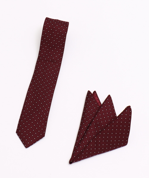 5351 POUR LES HOMMES（ゴーサンゴーイチプールオム）の「スモールドビータイ（ネクタイ・メンズ・ボルドー/ブルー/ブラック・フリー）」の4枚目の写真