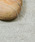 And AiAhG[j́uAnd A AhG[ / Link chain necklace Xl[N`F[lbNX `[J[iVo[925jilbNXjvbVo[