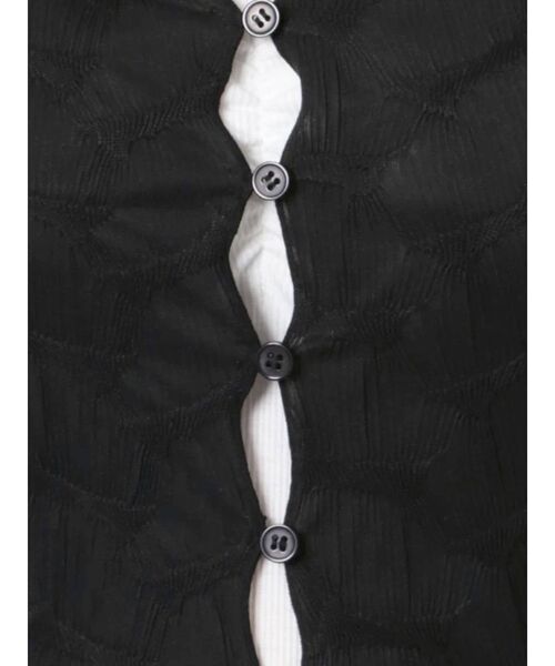 EMODA（エモダ）の「シアーフィットシャツトップ（シャツ/ブラウス・レディース・ライム/その他/ブラック・FREE）」の4枚目の写真