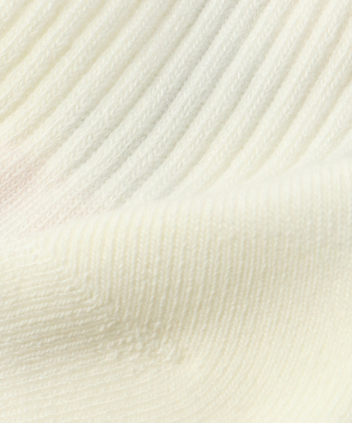 JOINT WORKS(ジョイントワークス)の「【ROSTER SOX/ロスターソックス】MLB FL MLB SOCKS(ソックス/靴下・メンズ・ホワイト/グレー/サックスブルー・FREE)」の4枚目の写真