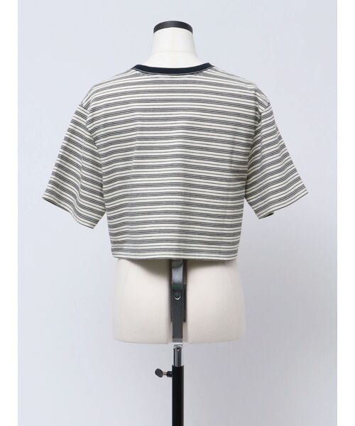 VEQUM(VEQUM)の「【VEQUM】HIGH GAUGE BORDER SHORT T SHIRT(Tシャツ/カットソー・レディース・アイボリー/グリーン/ネイビー・FREE)」の8枚目の写真
