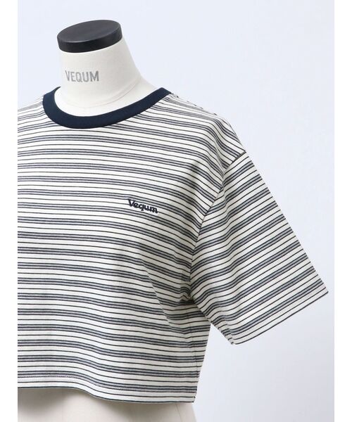 tシャツ 「VEQUM」HIGH GAUGE BORDER SHORT T SHIRT レディース VEQUM】HIGH GAUGE BORDER SHORT T SHIRT（Tシャツ/カットソー