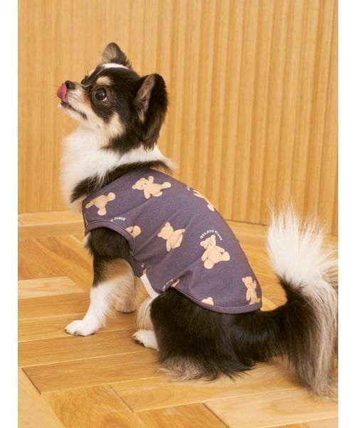ジェラートピケ【CAT&DOG】シュナウザー柄カットソープルオーバー オフィシャルサイト・MASH STORE限定】【CAT&DOG】シュナウザー