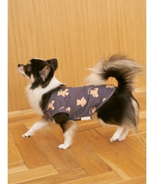 PIQUEベア柄 セットアップ 新品未使用 ジェラートピケ CAT&DOG】ベア柄プルオーバー（ペットウェア）｜gelato pique