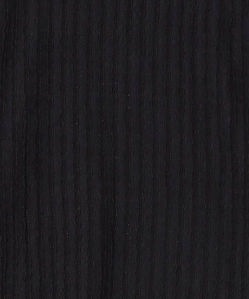 CALIFORNIA OUTFITTERS(カリフォルニア アウトフィッターズ)の「5C31レースシアー クルーネックTEE(Tシャツ/カットソー・メンズ・ブラック/ホワイト・FREE)」の5枚目の写真