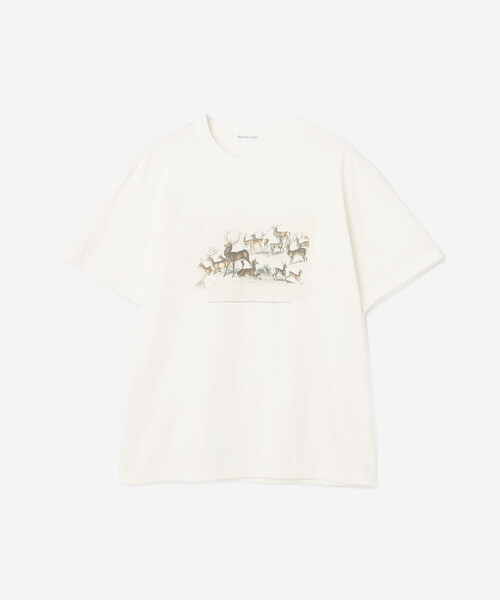 Bshop（ビショップ）の「History of Art | プリントTシャツ DEER MEN（Tシャツ/カットソー・メンズ・ホワイト系その他・L/M/XL）」の2枚目の写真