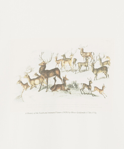 Bshop（ビショップ）の「History of Art | プリントTシャツ DEER MEN（Tシャツ/カットソー・メンズ・ホワイト系その他・L/M/XL）」の7枚目の写真