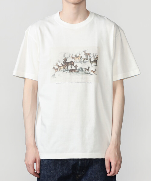 Bshop（ビショップ）の「History of Art | プリントTシャツ DEER MEN（Tシャツ/カットソー・メンズ・ホワイト系その他・L/M/XL）」の8枚目の写真