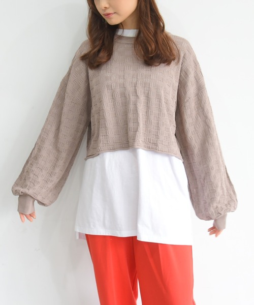 sango（sango）の「ショート丈透かしプルオーバー（Tシャツ/カットソー・レディース・モカ/ベージュ系その他・FREE）」の17枚目の写真