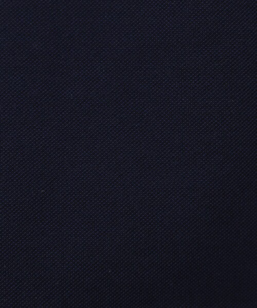 NOLLEY'S goodman(ノーリーズグッドマン)の「ドライマスター クジラワンポイントポロシャツ(ポロシャツ・メンズ・ホワイト/ネイビー/ブルー系その他/ブルー/ブラック系その他・S/M/L/XL)」の16枚目の写真