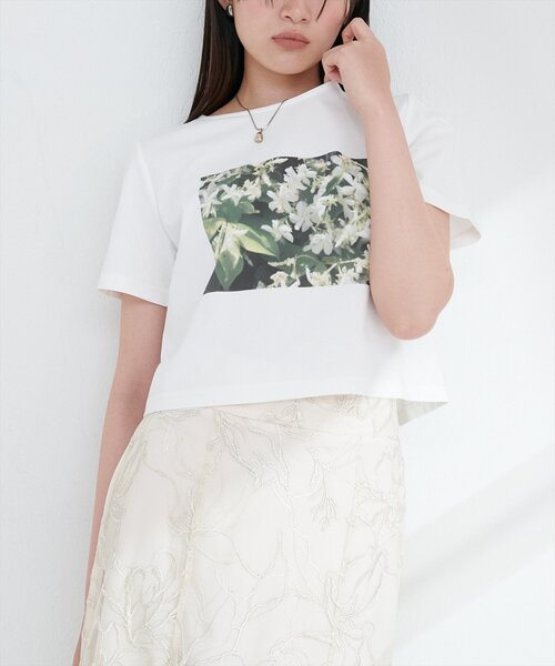 natural couture(ナチュラルクチュール)の「【canami】オリジナルフォトショートT(Tシャツ/カットソー・レディース・オフホワイト/ブラック/ピンク・FREE)」の4枚目の写真