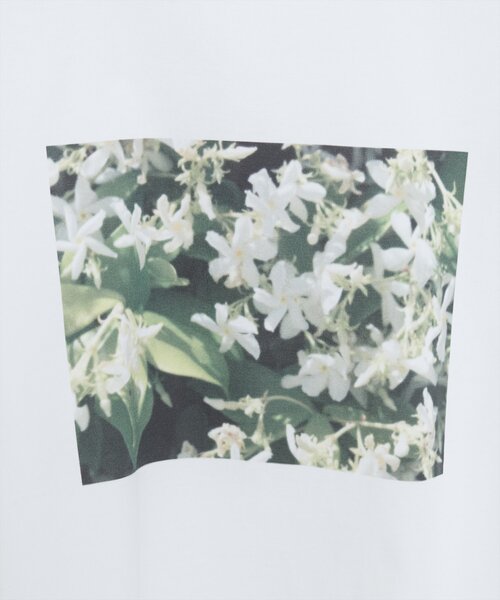 natural couture(ナチュラルクチュール)の「【canami】オリジナルフォトショートT(Tシャツ/カットソー・レディース・オフホワイト/ブラック/ピンク・FREE)」の12枚目の写真