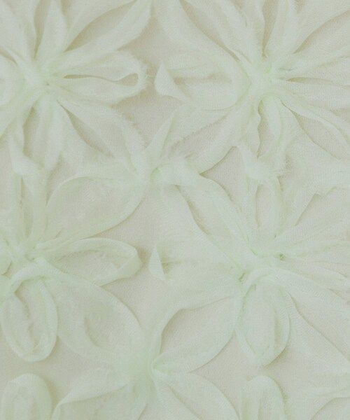 index（インデックス）の「フラワーチュール刺繍ペプラムブラウス【洗える】（シャツ/ブラウス・レディース・ブラック/アイボリー/ライトグリーン・40/38/36）」の17枚目の写真