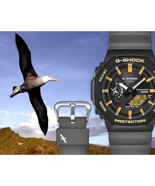 チャールズ・ダーウィン財団コラボモデル / GA-B2100DF-1AJR（アナログ