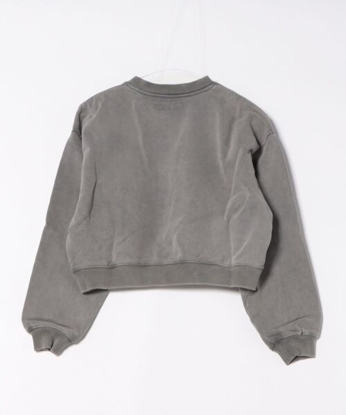 forget-me-nots（フォーゲットミーノッツ）の「C.N SWEAT FMN-22AW-SW-001（Tシャツ/カットソー・レディース・グレー・SMALL）」の2枚目の写真
