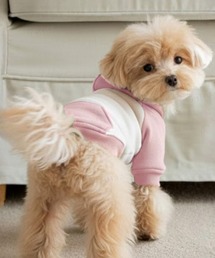 Dalfwin（ダールフィン）の「ペットウェア 配色ラグランフーディー（ペットウェア）」