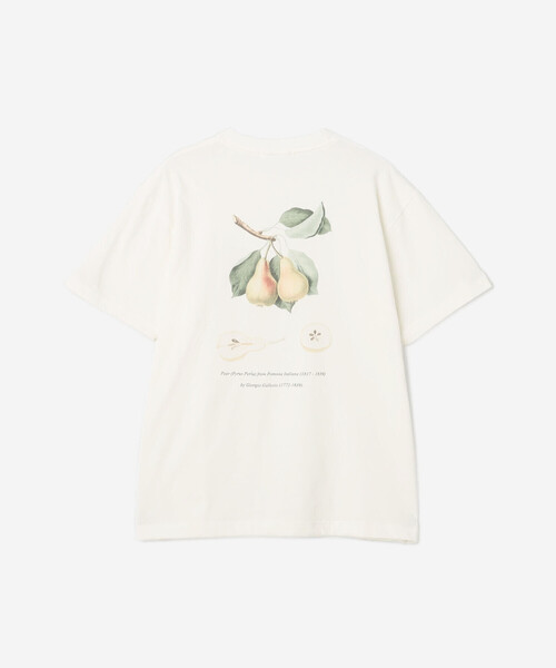 Bshop(ビショップ)の「History of Art | プリントTシャツ PEAR MEN(Tシャツ/カットソー・メンズ・ホワイト系その他・M/XL/L)」の3枚目の写真