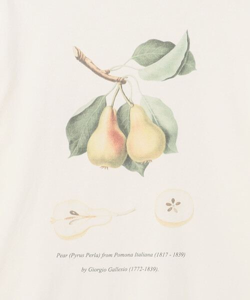 Bshop(ビショップ)の「History of Art | プリントTシャツ PEAR MEN(Tシャツ/カットソー・メンズ・ホワイト系その他・M/XL/L)」の8枚目の写真