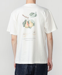 History of Art | プリントTシャツ PEAR MEN