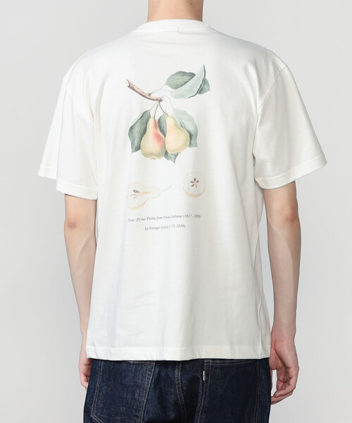 Bshop(ビショップ)の「History of Art | プリントTシャツ PEAR MEN(Tシャツ/カットソー・メンズ・ホワイト系その他・M/XL/L)」の1枚目の写真
