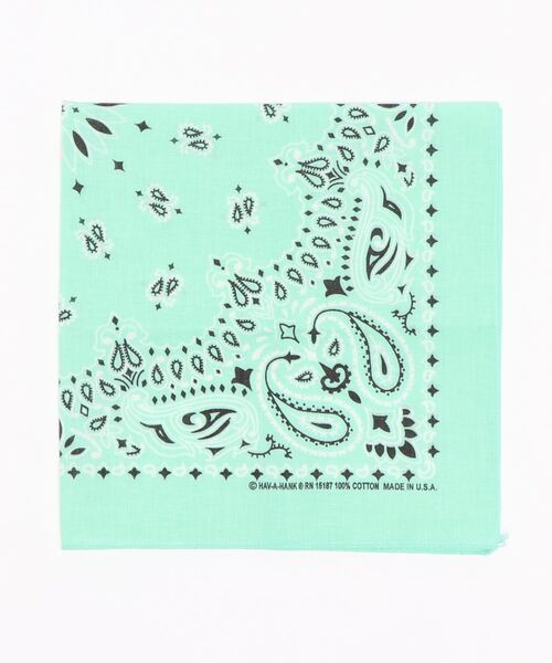 Hav-A-Hank Honeysuckle Paisley Bandanna, 22x22, Made in USA