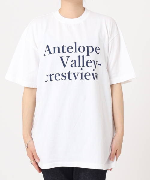 journal standard L'essage（ジャーナルスタンダードレサージュ）の「ピグメントプリントTシャツ（Tシャツ/カットソー・レディース・ホワイト/ネイビー/ピンク・FREE）」の16枚目の写真