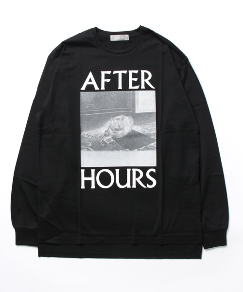 Wizzard(ウィザード)の「Wizzard ウィザード / GRAPHIC LONG SLEEVE T-SHIRT "CAT" ギザ天竺コットングラフィックプリントロンT / W23SS-GC040(Tシャツ/カットソー・メンズ・コーラルピンク/ブラック/チャコールグレー/ホワイト・2/3/1)」の5枚目の写真